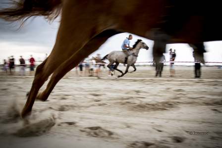 carreras de caballos